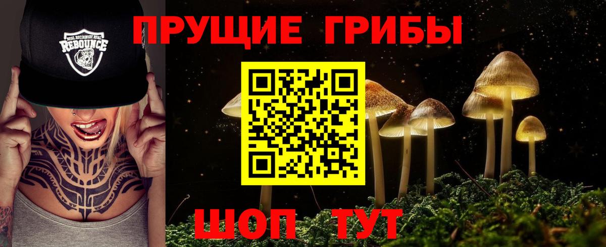 Псилоцибиновые грибы ЛСД  Вход с VPN  Знаменск 